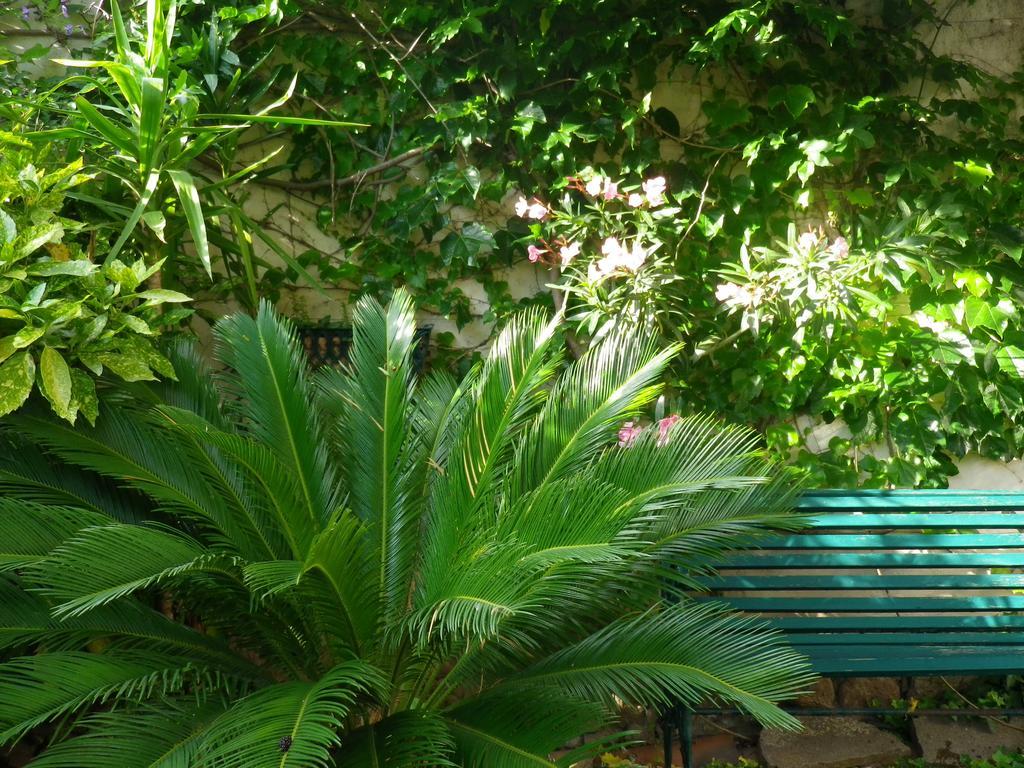 Chez Catherine Roquebrune-sur Argens Extérieur photo