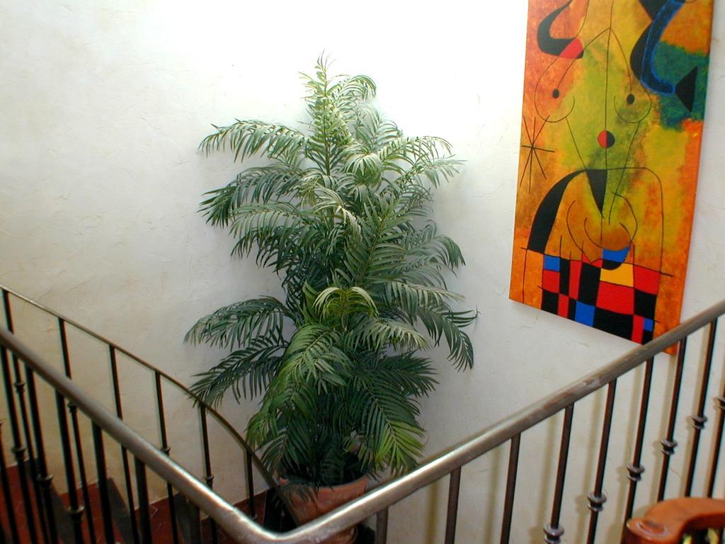 Chez Catherine Roquebrune-sur Argens Extérieur photo